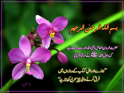 ramadan quotes urdu